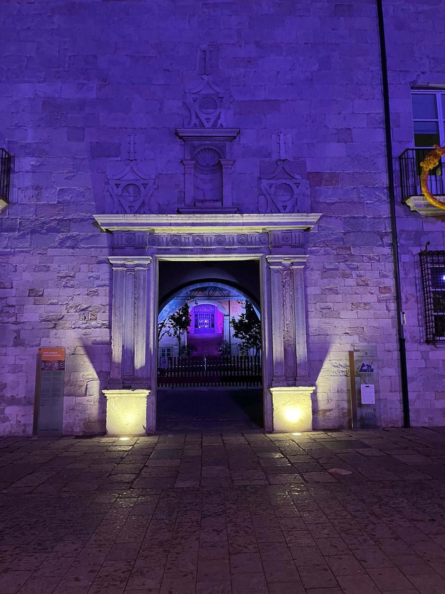 A Girona,  l’edifici de la Generalitat s’ha il•luminat de lila pel #WorldLupusDay. Un petit homenatge per totes i tots aquells pacients que conviuen cada dia amb aquesta malaltia. #Lupus #SLE <a href="/htrueta/">Hospital Trueta</a> <a href="/InternaTrueta/">Medicina Interna H. Trueta</a>