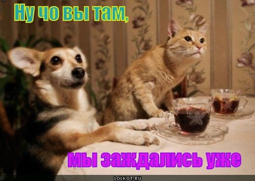 Ocean Rud (@ksenarud) on Twitter photo 