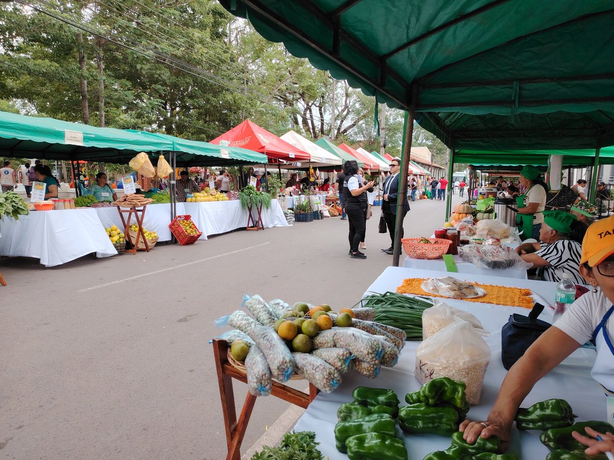 La feria #ParaguaríProduce fue una verdadera fiesta del trabajo y la identidad local. Agricultores/as, artesanas y emprendedores mostraron lo mejor del departamento. Un esfuerzo conjunto de la Gobernación, MAG - CDA, SENATUR, SINAFOCAL, ALTER VIDA, APGT y más.
#EconomíaLocal
