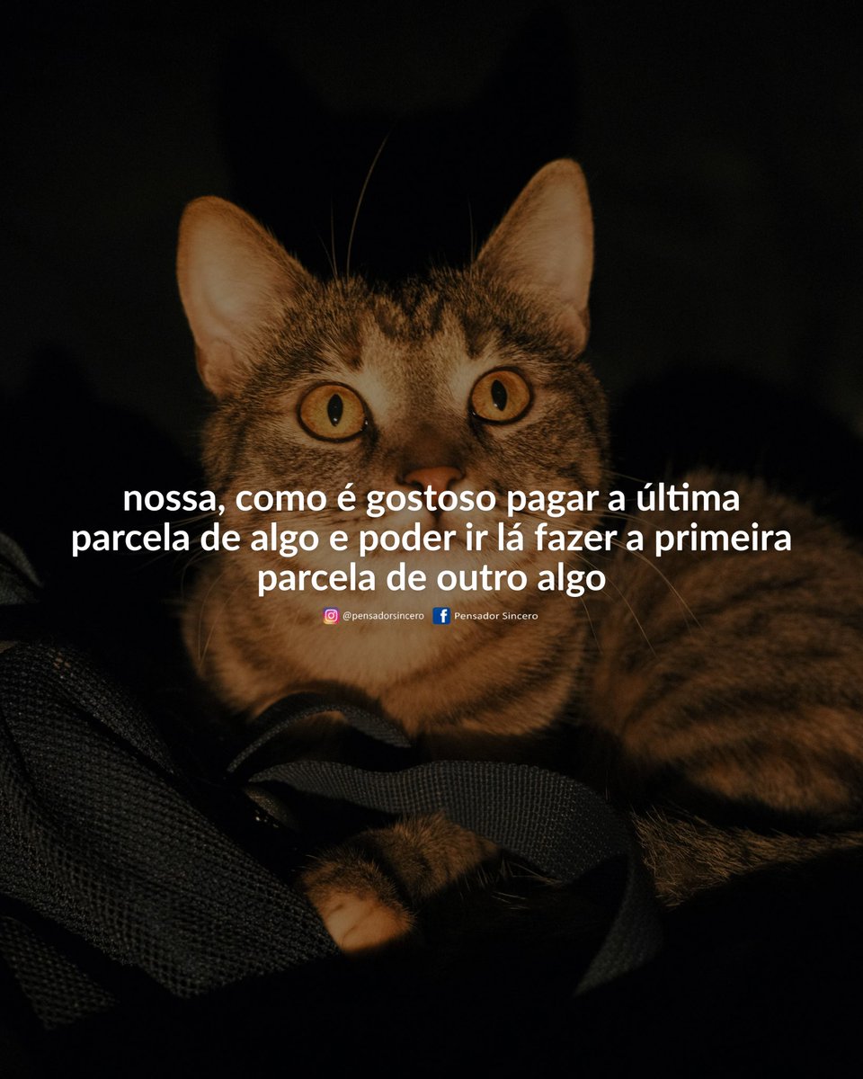 pensadortwitta's tweet photo. https://t.co/ExE6Rk5M8W