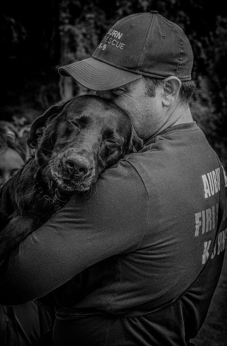 We are saddened to announce the unexpected passing of K9 Riggs after he fell ill. Riggs was <a href="/auburnmassfire/">Auburn Fire Rescue</a> first Investigative Fire Service K9 trained &amp; certified in human remains detection. Riggs will be truly missed &amp; we ask you to keep his handler FF Ethier in your thoughts.