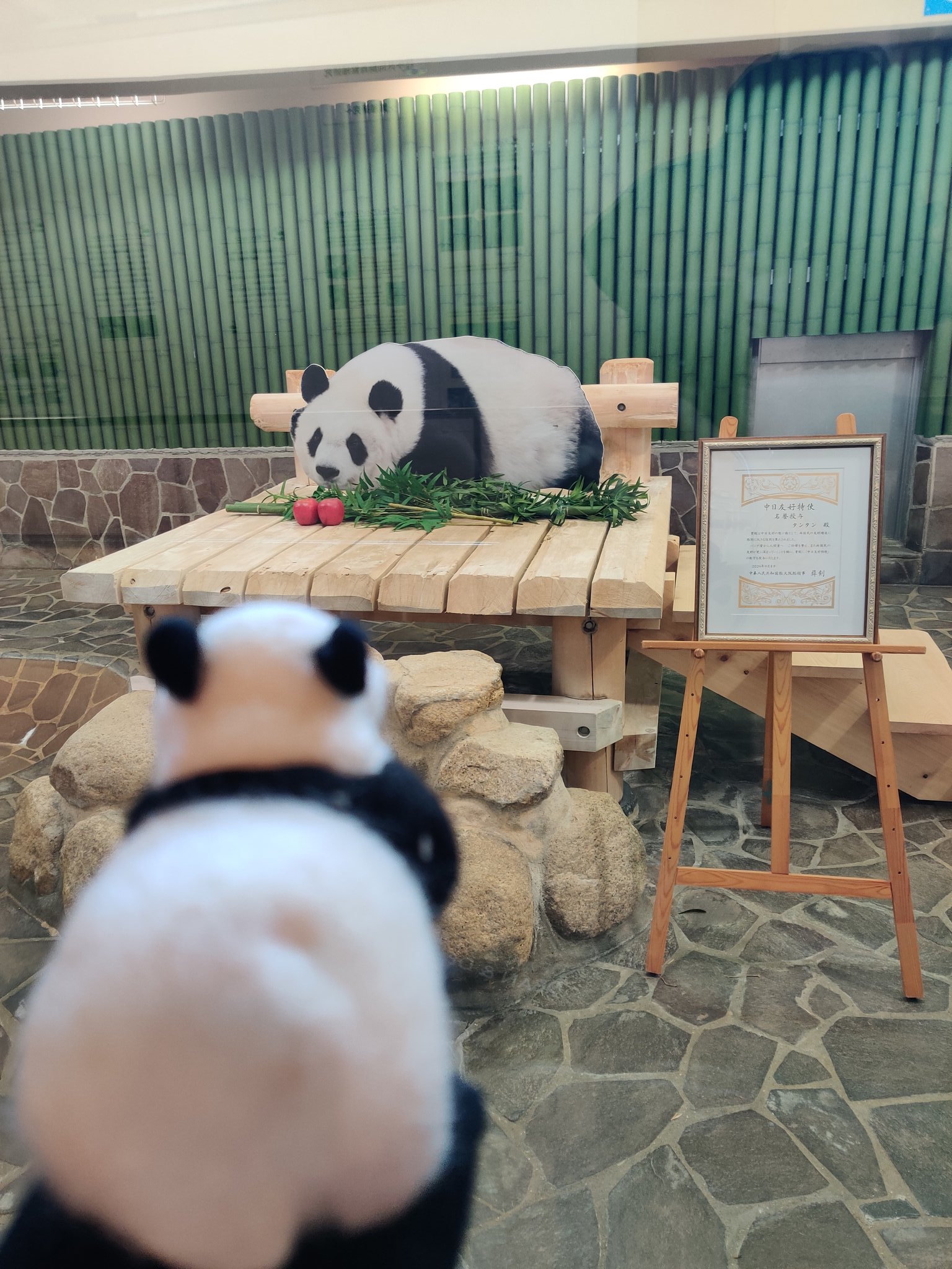 PANDA MOON (@YoshikoMoon4) / X