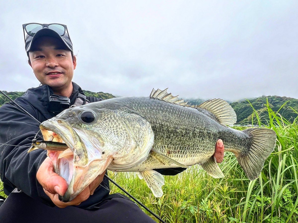 ybassf's tweet photo. 2025.5.10 高知県　波介川

水野さんとセッション🎣

前日の雨で水位変動が激しい一日

ちょっとした流れのよどみでキングと
土バングのドシャローサイト。

キーはアフターのエビ食い。

キングジミーヘンジ
ドリフトフライ４エラストマー
フリックシェイク

50UP含む釣果🤩

仕上がった!!

#バス釣り https://t.co/aktZmOlDQm