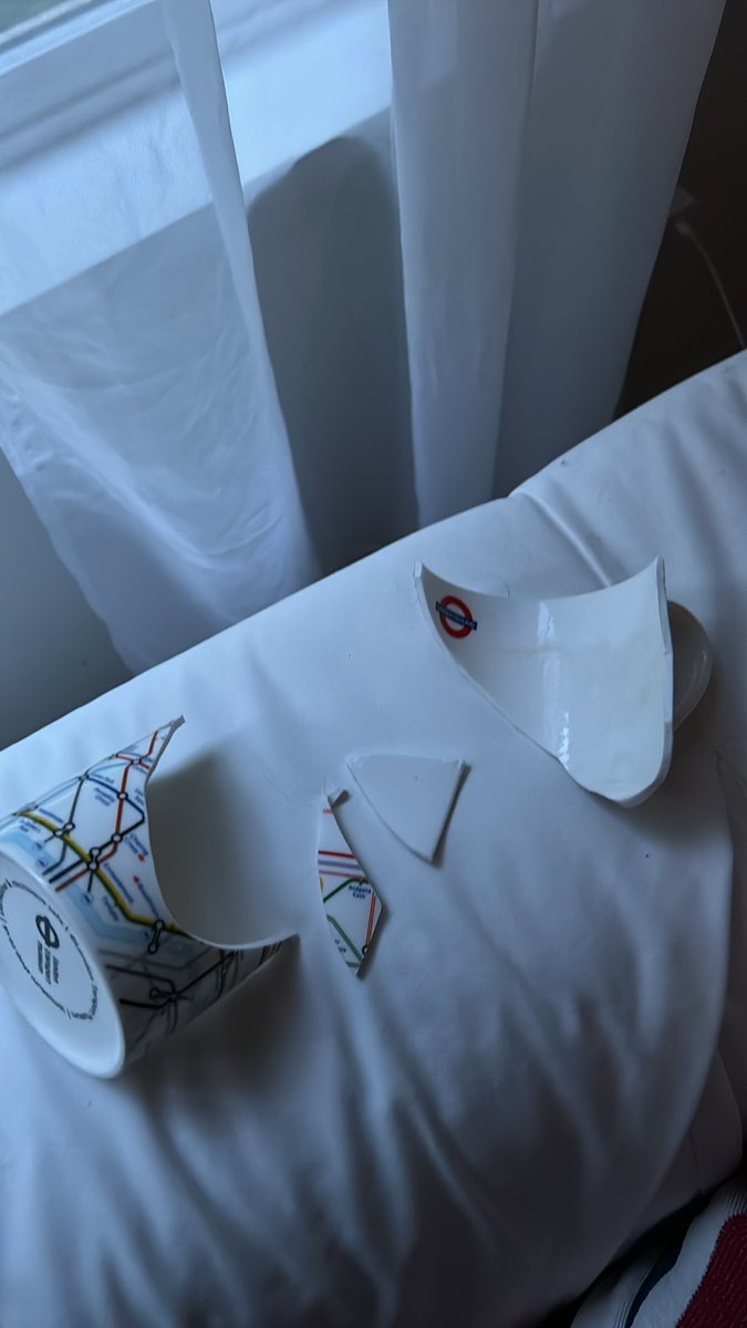 Sally 😺🍸 tweet media