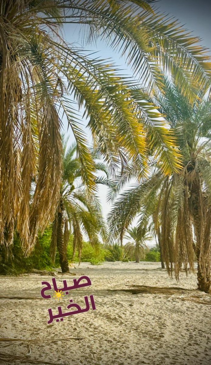 السعيدي𓅂 (@mod93_) on Twitter photo 