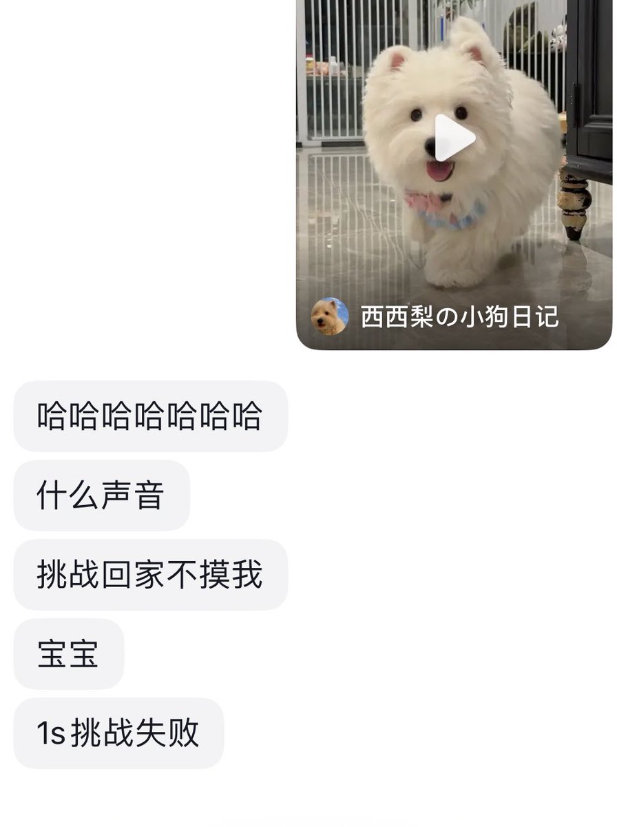 记录一下小狗让我很爽的转变😜😜😋