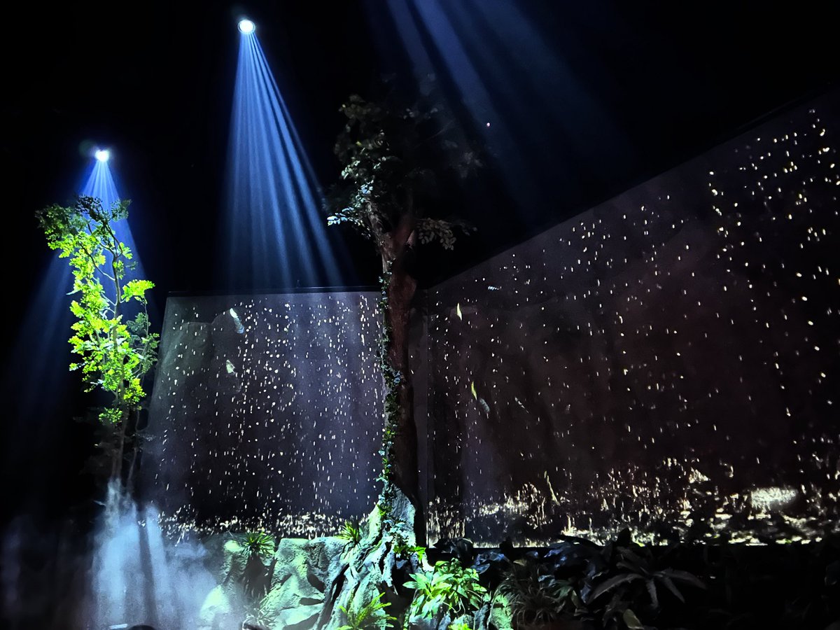 住友館③🌲 ランタンを UNKNOWN FOREST の木の枝に吊るすと、そこに