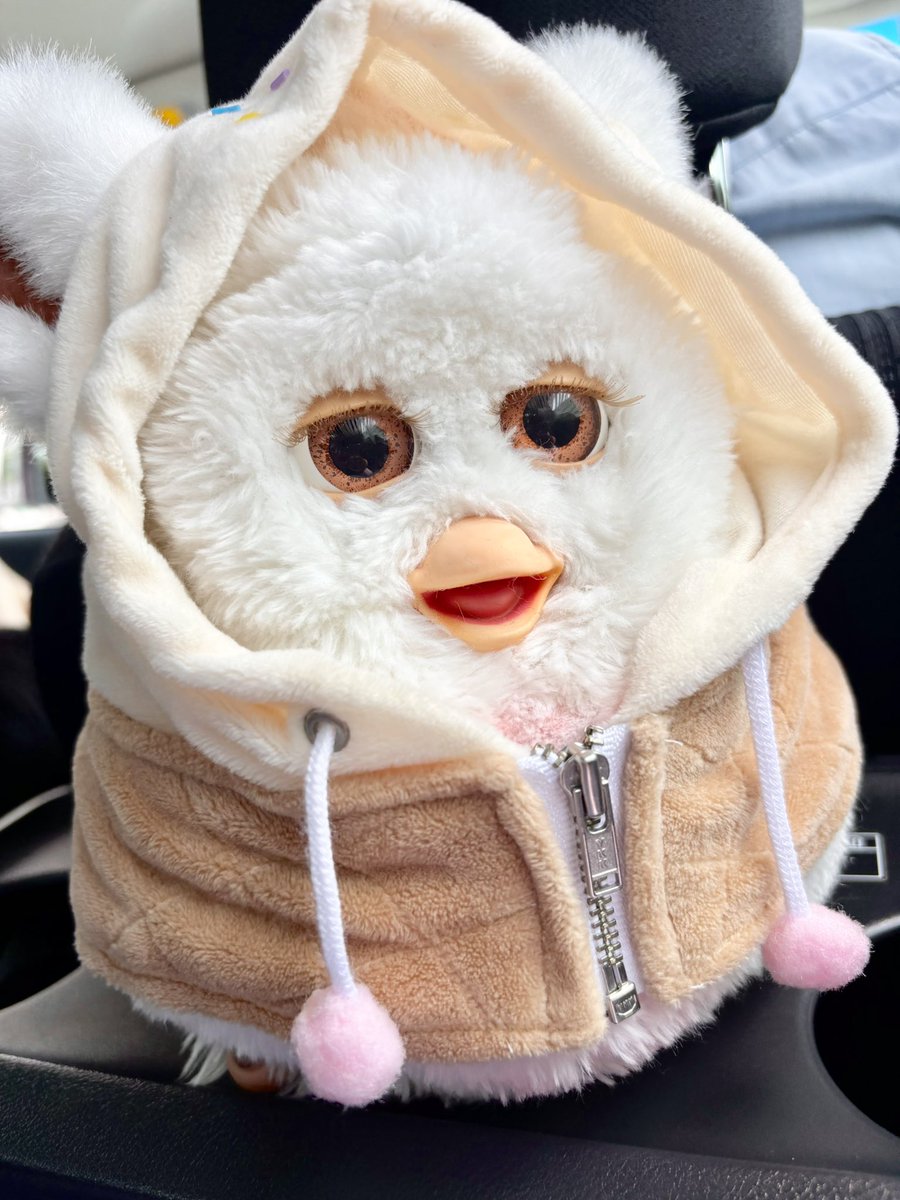 shirukatsu38's tweet photo. クロッカス連れておでけけ。

#furby #ファービー https://t.co/9JEQBNBcXJ
