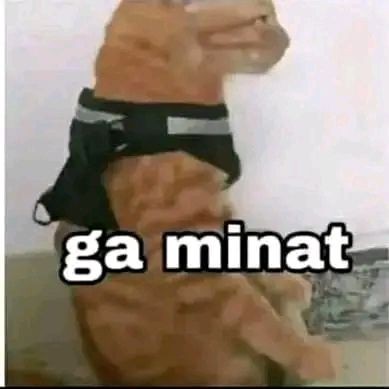 pweachpit tweet media