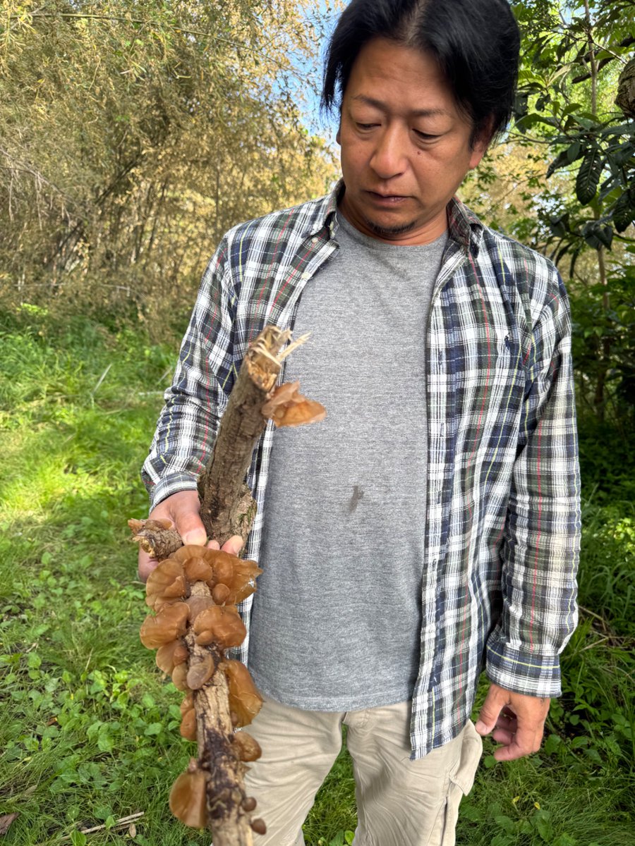 ratb16's tweet photo. 朝活
まずはキクラゲをGET❗️
山を歩くと
めっちゃ良いトレーニングになる💪 https://t.co/tvSiGyfBc1