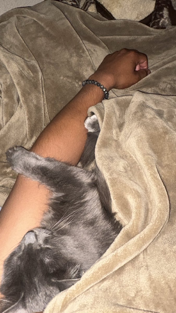 𝐵𝑒𝑎𝑛𝑠𝑀𝑐𝐺ℎ𝑒𝑒 (@erickhndzz) on Twitter photo 