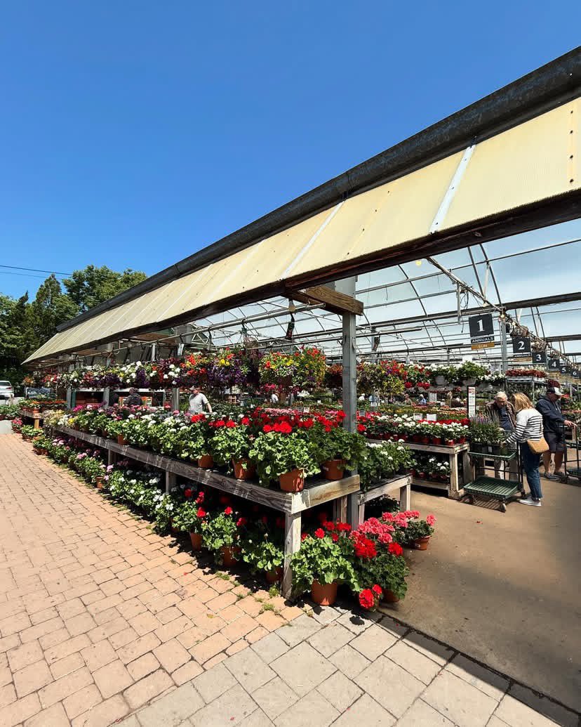 leadchris2's tweet image. Back at the spot for picking out some new annual beauties…beautiful day for planting