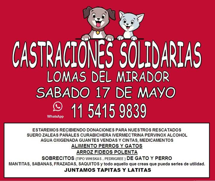 LA MATANZA
#LAMATANZA #MATANZA #LOMASDELMIRADOR #RAMOSMEJÍA #LINIERS #LATABLADA #TABLADA #VILLAMADERO #MADERO #SANJUSTO #MATADEROS #ZONAOESTE #GRANBSAS #BSAS #CONURBANO