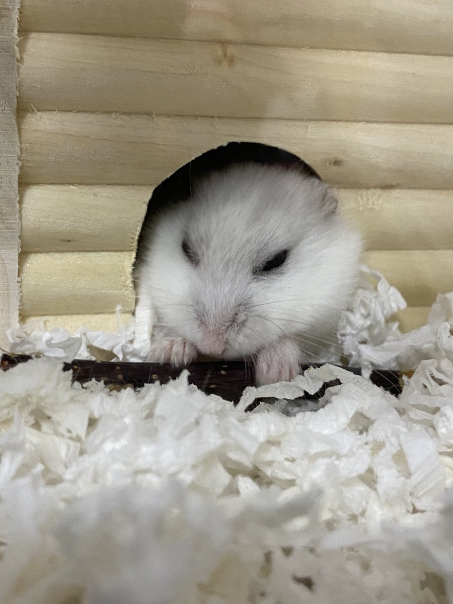 🍑 (@womwom1017) / Posts / X