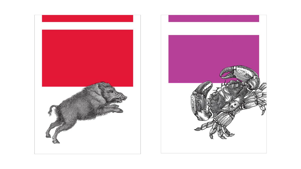 If you don't know what this is you probably suck at coding