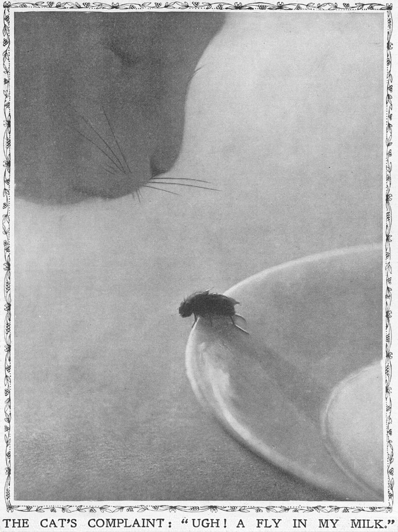 The Sketch, London, 15 May 15, 1912