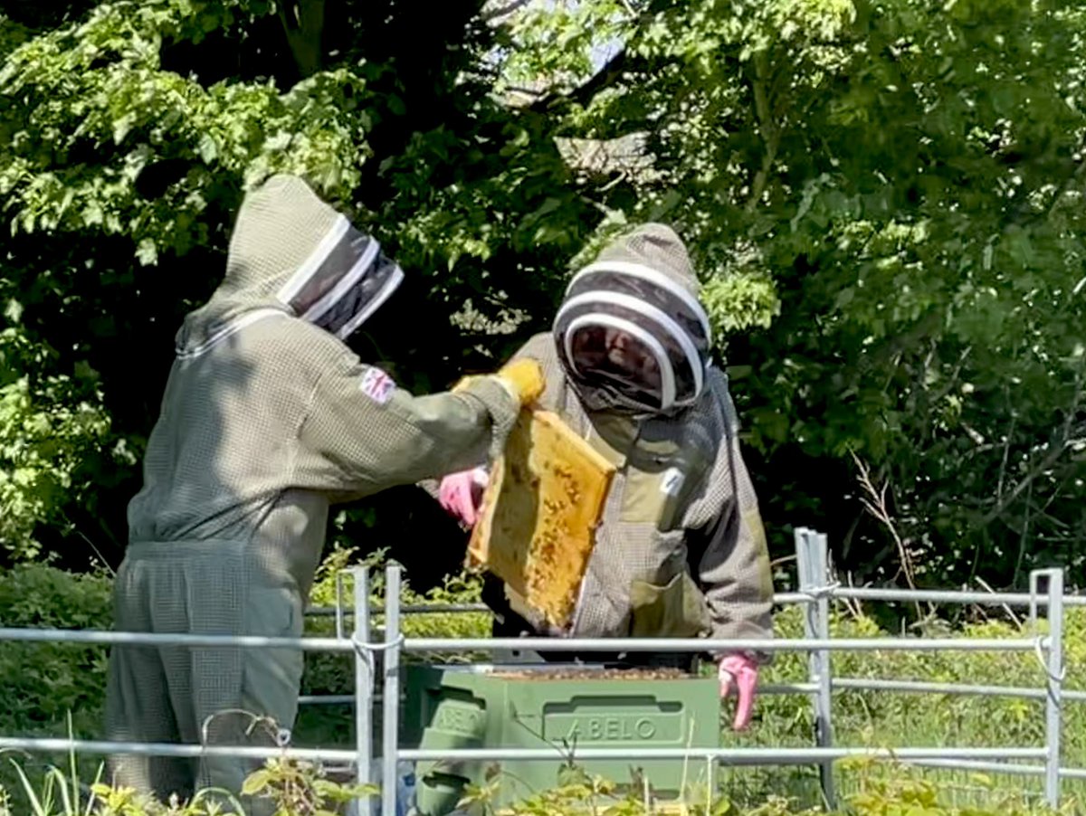 MLProduce's tweet image. I ‘m a new bee keeper &amp;amp; owe a huge thank you to Amanda showing me what to do and Harry for his ingenious method for introducing a queen. I had a queenless colony but not any more! Harry’s knowledge &amp;amp;experience is amazing #bees #beekeeping #pollenators #amazinginsects #isleofman