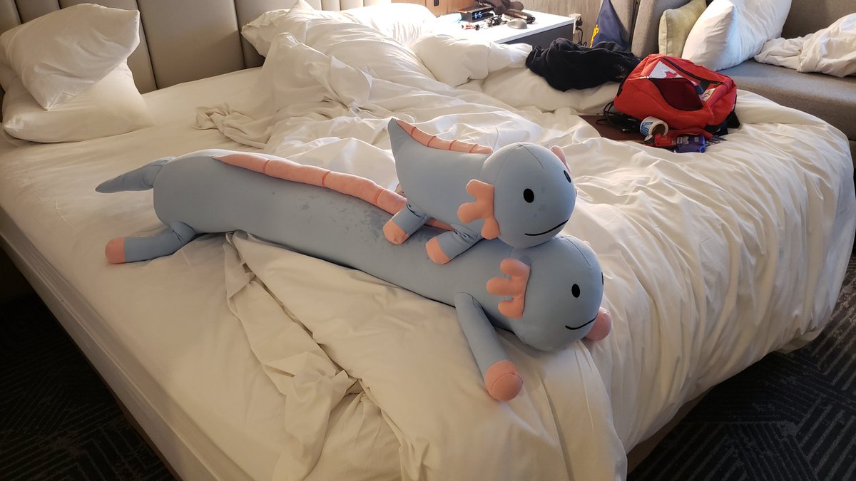 So far PAX East has been awesome! You know that I found an axolotl thing to buy. Bought the small one and then told em about my vtuber and they said "come back at the end of the day and the LONG one is yours for free" Now I got one short and one LOOOOONG. Hell ya, #gopax