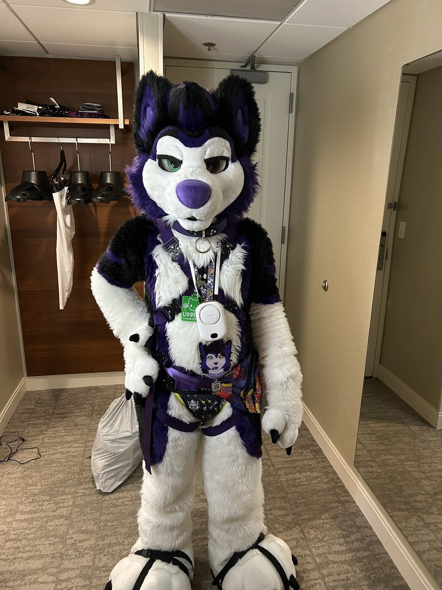 Heading down #FWA2025 

⛓️ <a href="/Crunchycurl/">Crunchycurl</a>