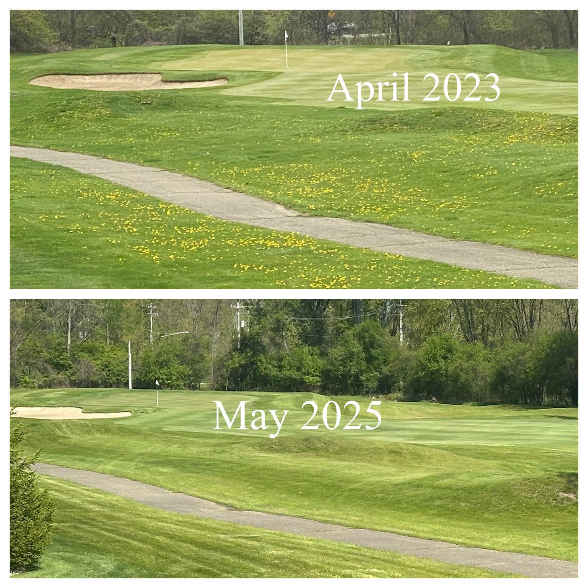 Ian Daniels, CGCS tweet media