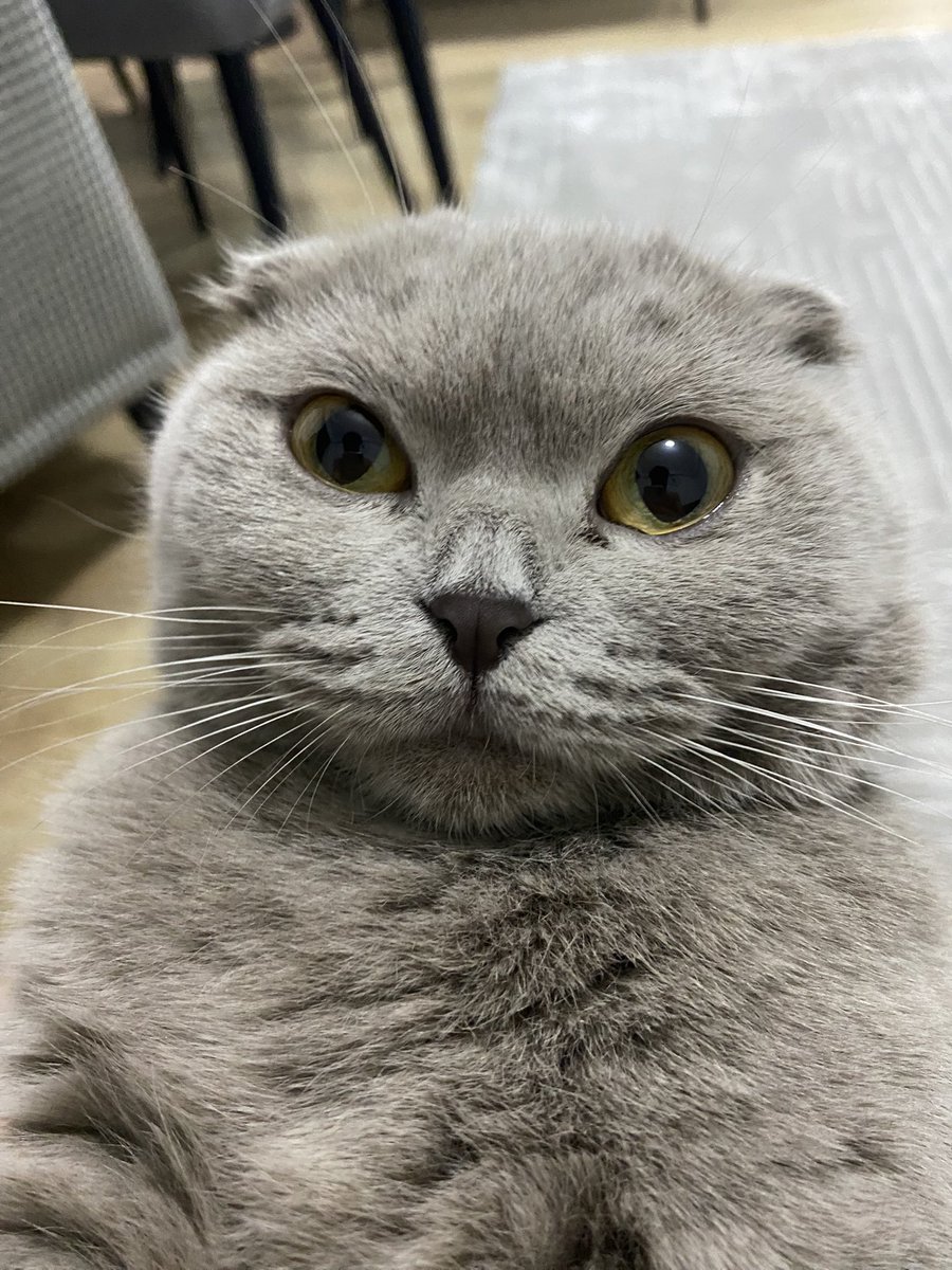 Hasan dikpınar tweet media