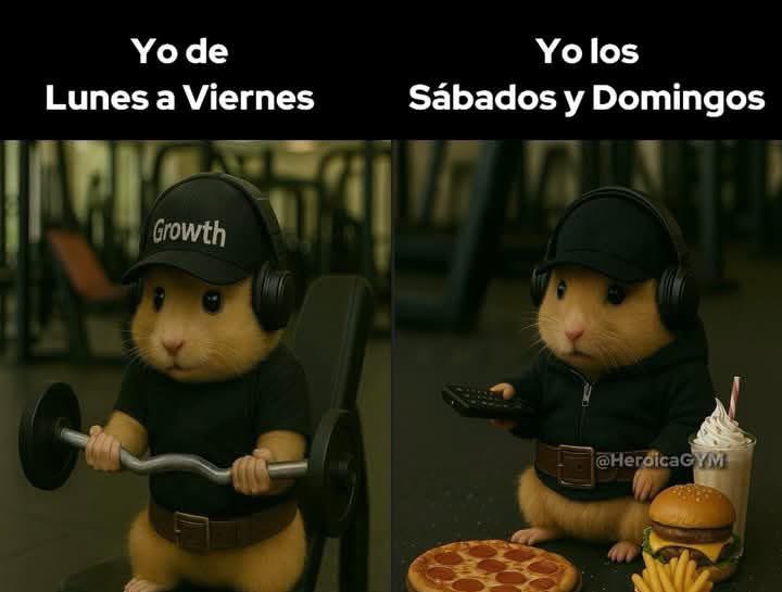 nacional_memes's tweet photo. 🐶 https://t.co/9130dFmmpO
