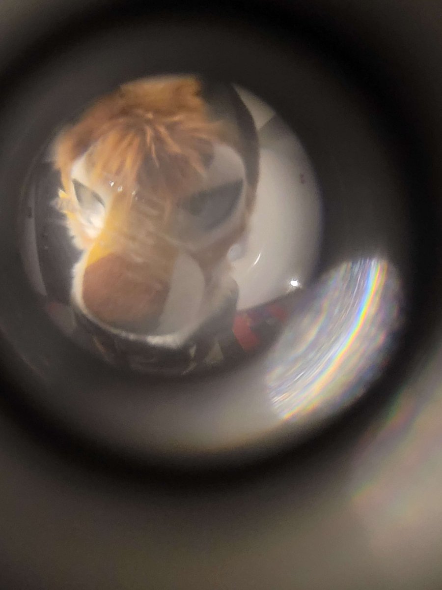 Pleaseeee lemme in… pleaseeeeeee