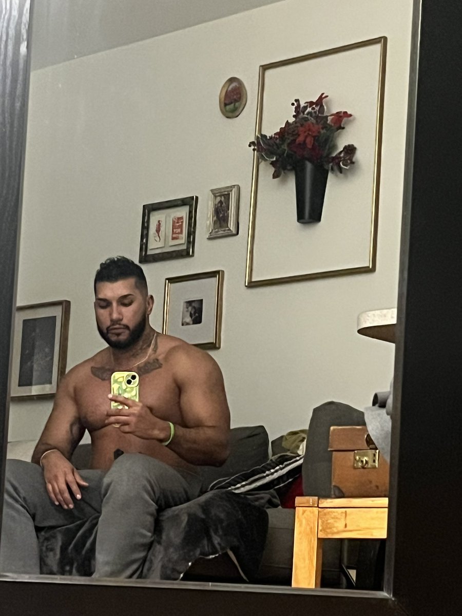 bigcheex's tweet image. 6 month check-in