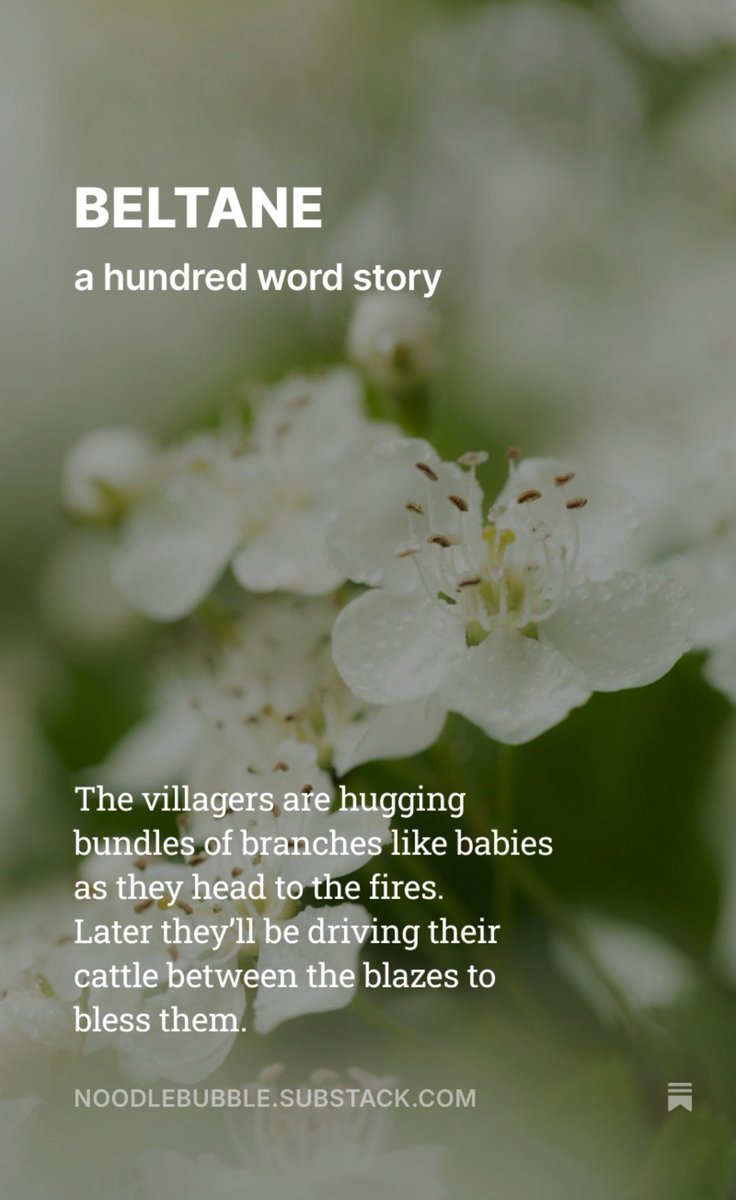 Morning! 
My latest @substack story…

open.substack.com/pub/noodlebubb… #flashfiction