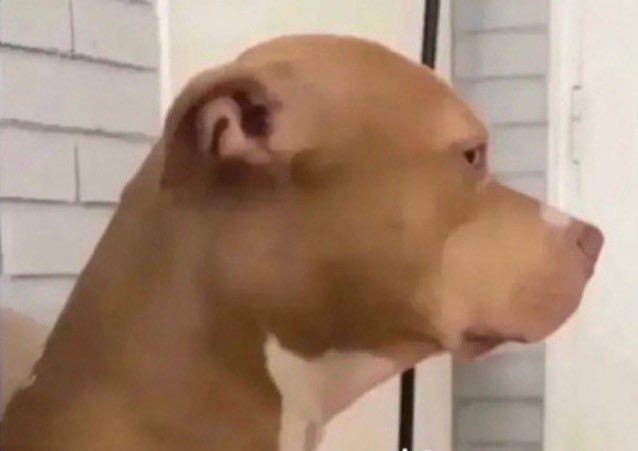 hay personas que escuchan un artista y no sientes la necesidad de hacerlos su personalidad completa por meses..? cómo se siente..?