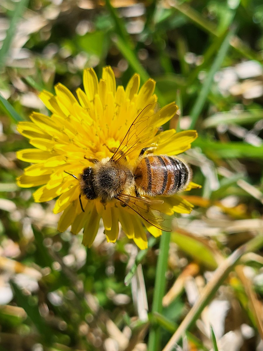 Steve Link tweet media