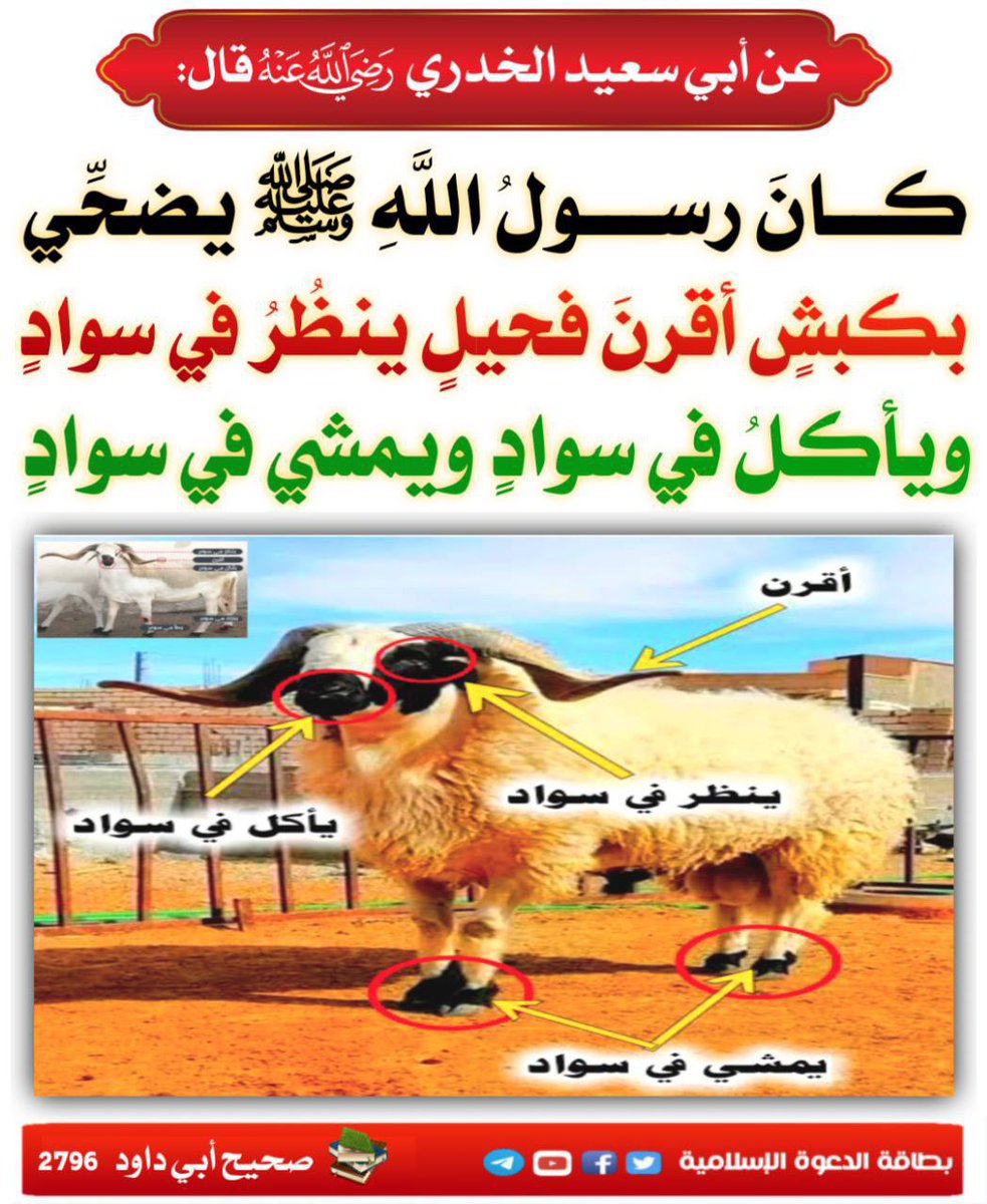 الْحَدِيث النَّبَوِيّ 📚 (@hadith_alnubui) on Twitter photo 