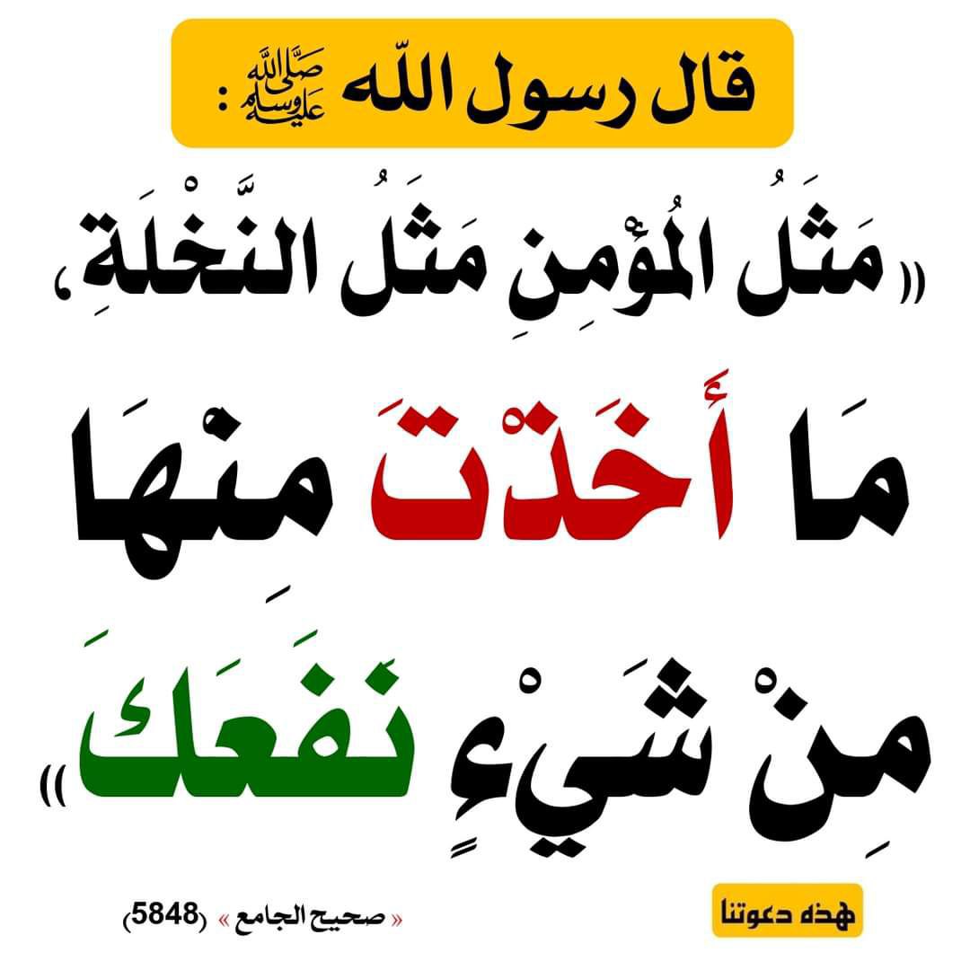 الْحَدِيث النَّبَوِيّ 📚 (@hadith_alnubui) on Twitter photo 