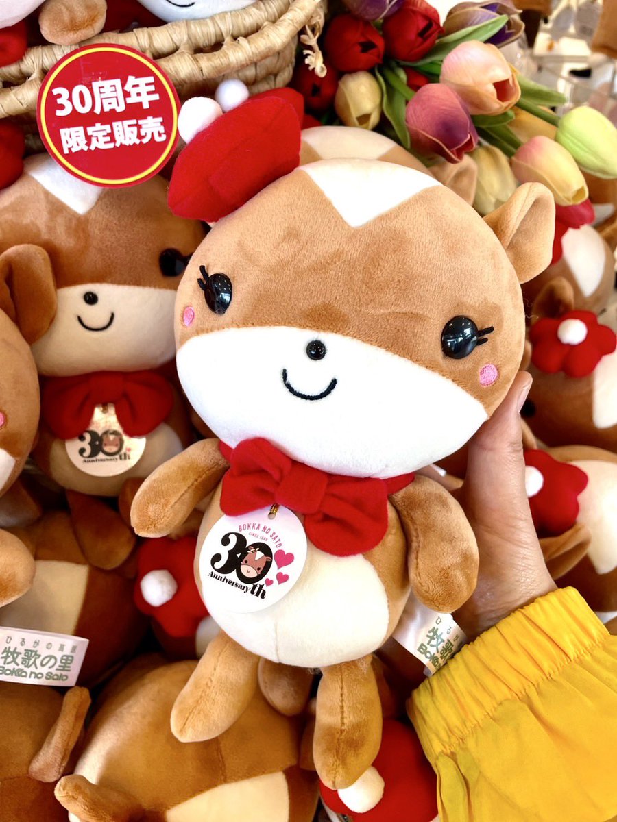 ひるがの高原 牧歌の里【公式】 on X