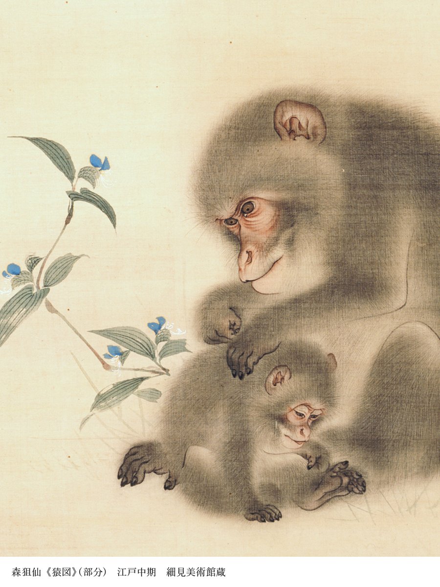 5/11は ＃母の日✨ ＼ 丁寧に毛繕いをする母猿と、リラックスした様子