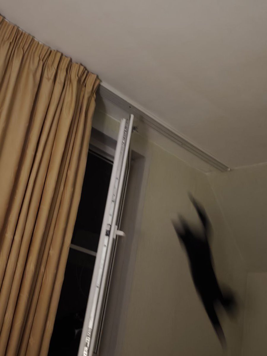 Темная ночь, только …