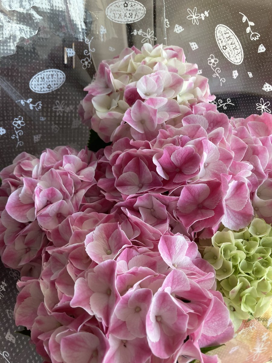 母の日
元気で居てね