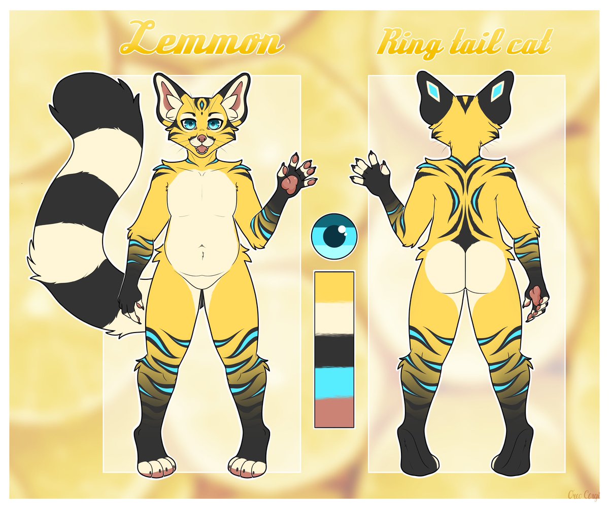 RingtailRecords's tweet image. Revamp intro, so hello again!
I’m Lemmon the Ringtail, or ringtail cat, a desert species of raccoon that’s small and adorable!

Love playing VRC (custom avatar by @x_skulleh), and a fiend for roguelikes

Chonk supremacy, belly rub enthusiast 🫡

DM’s open, new friends are da best