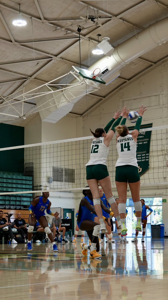 CalPolyVolley's tweet image. Off season? More like ON season🔥

#RideHigh