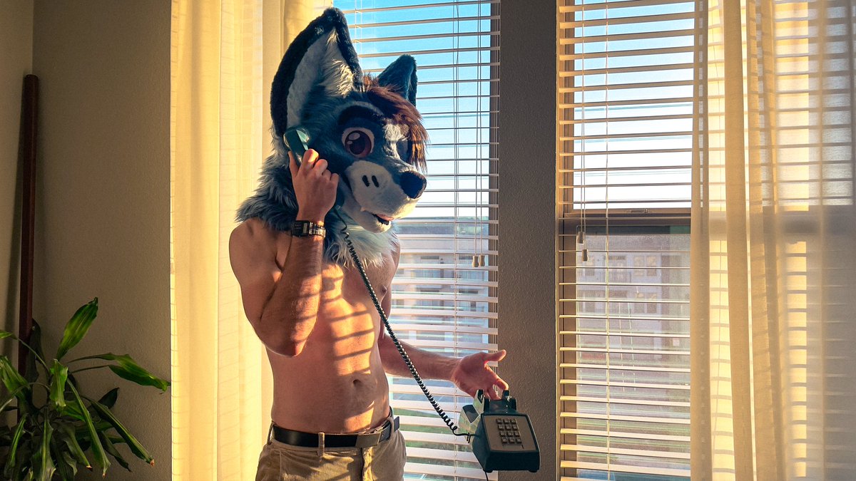 BellTelFox's tweet image. He's waiting for you to pick up 📞