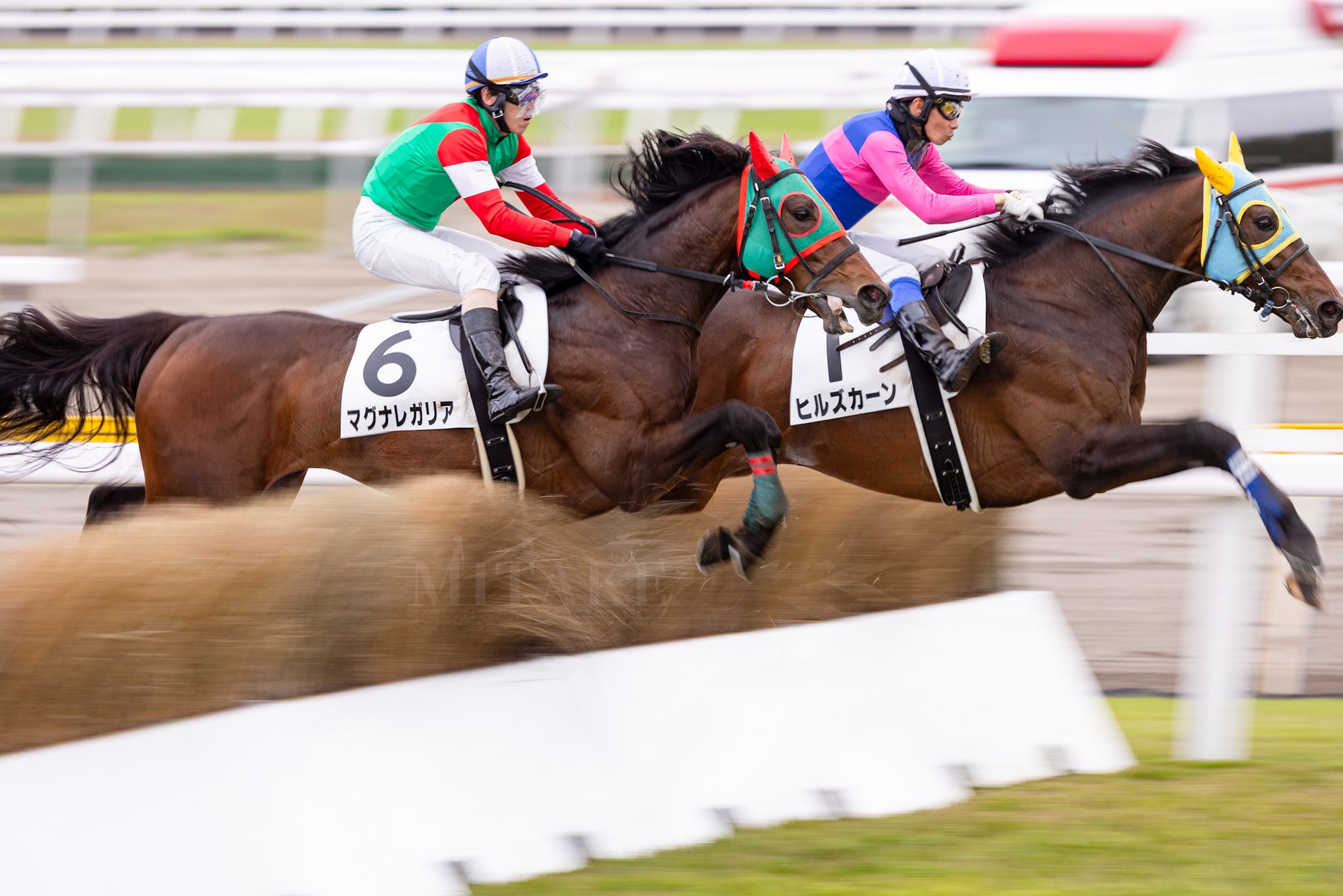 激レア写真❗トウカイテイオー　　　ダービー大外20番単枠指定❗ トウカイテイオー大外20番枠からの圧勝 単枠指定最後の年