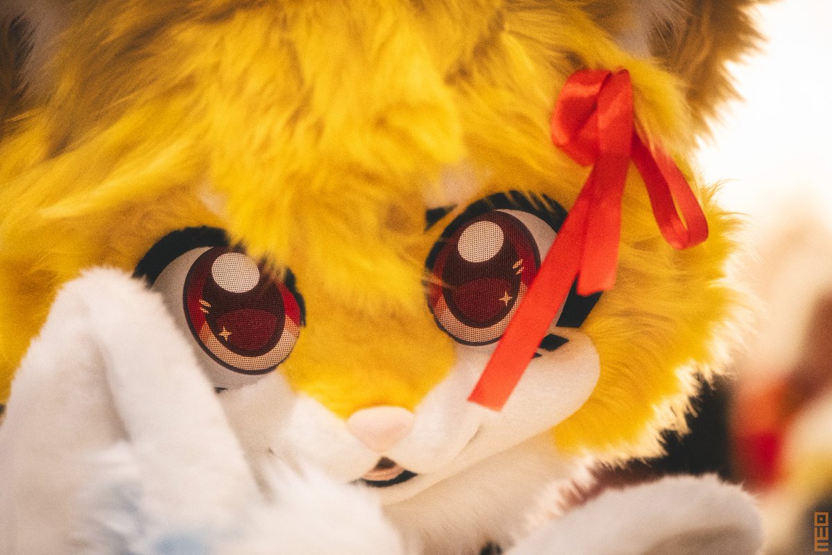 在HiFurry上遇到了超级可爱的露喵<a href="/yuukoku_neko/">Lumio🐾露喵</a>！