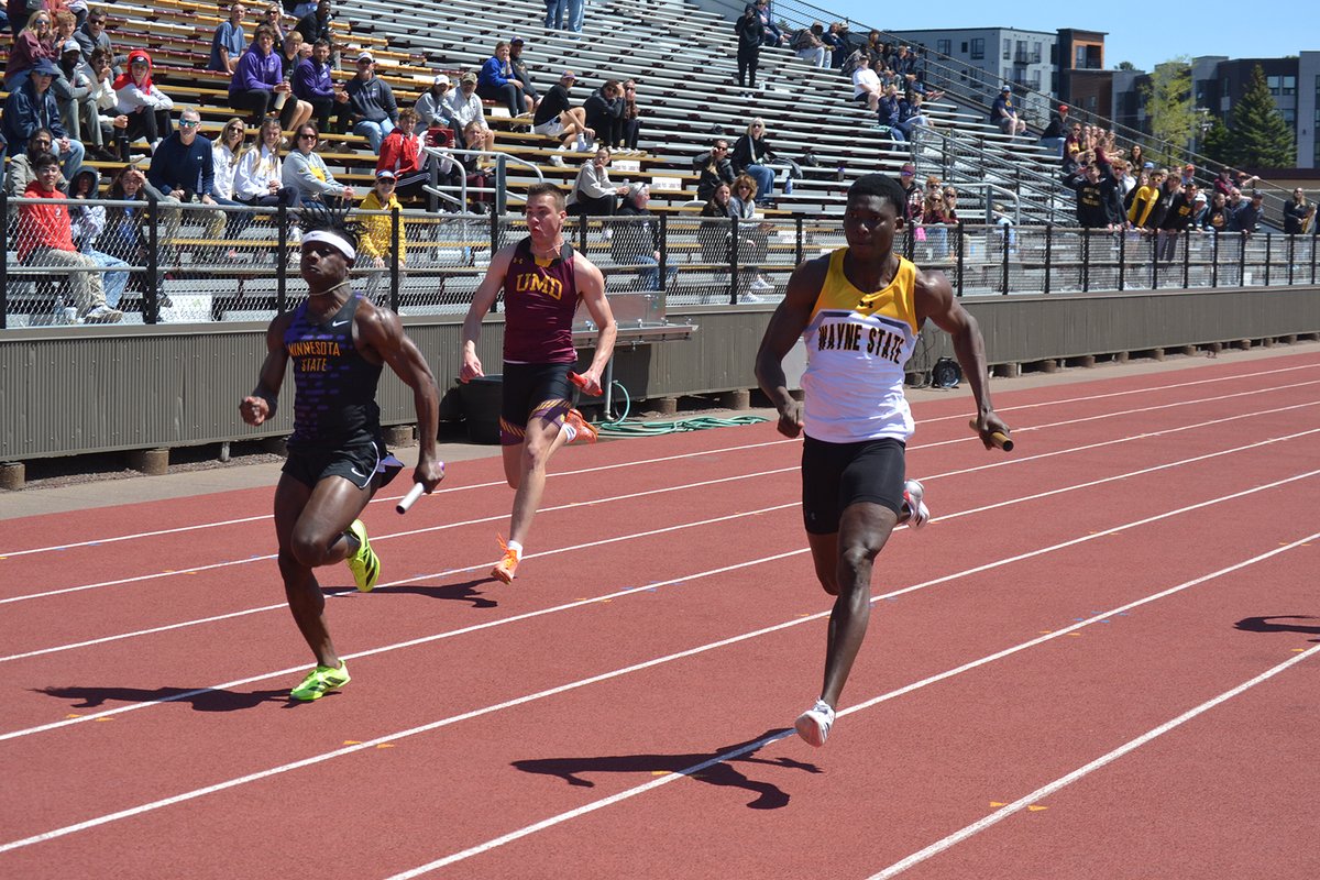 Wayne State Wildcats tweet media