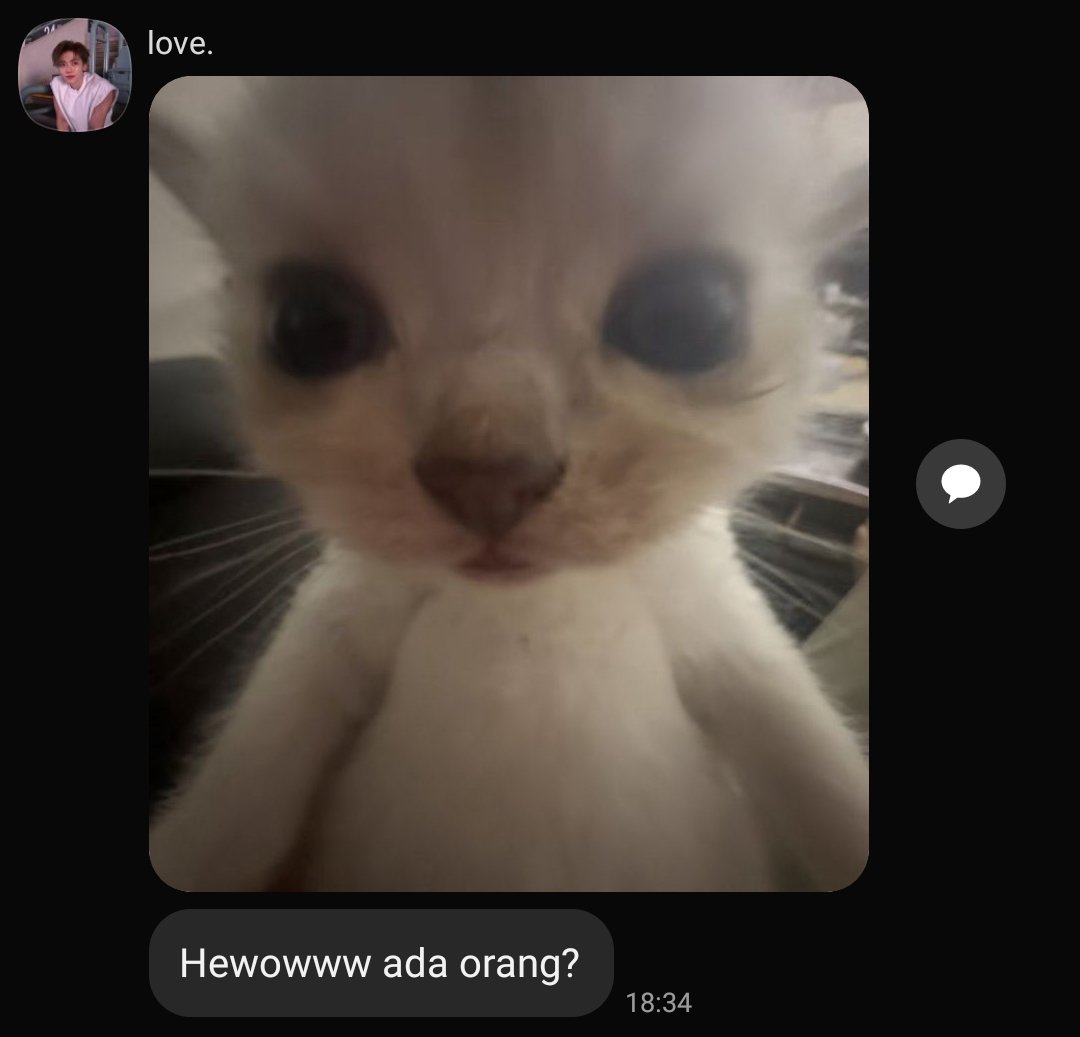 Doveitte's tweet image. ㅤ 

🤏🏻    

ㅤㅤ