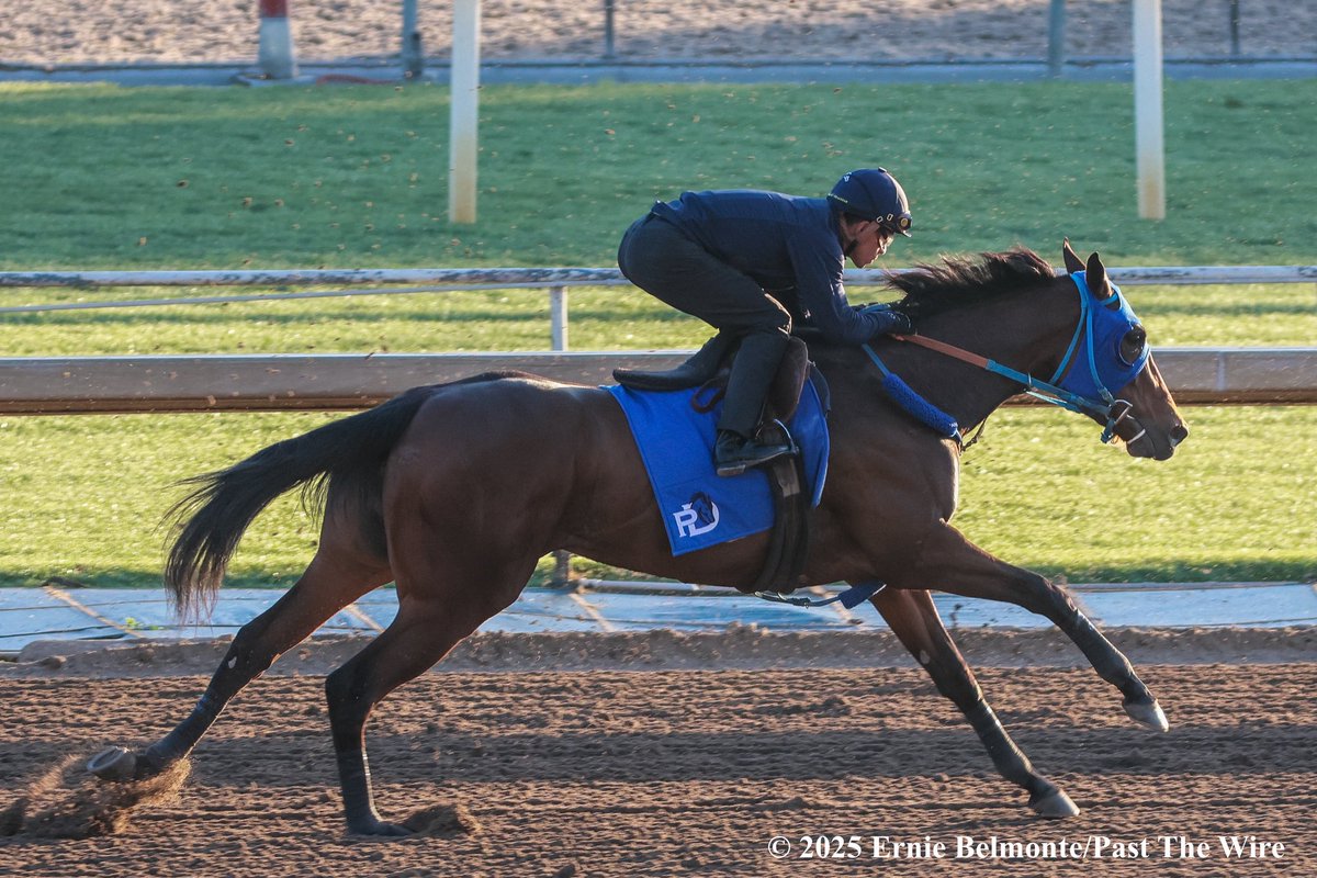 Vodka With A Twist (5F: 59.20 H) working this morning under <a href="/JockeyHerrera/">Diego Herrera</a>.