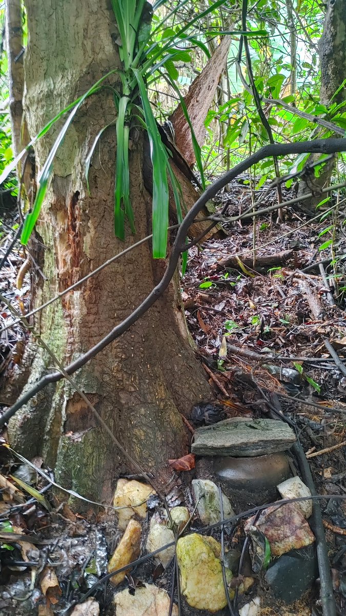 Visit #WaVidunda tribe and learn more about their traditional life style #ThingstodoinMikumi 

Izumbo ni sehemu ya kimila ya kabila la WaVidunda ambapo panapatikana chungu chenye mchanganyiko wa dawa mbali mbali za asili kwa ajili ya kuzindikwa.