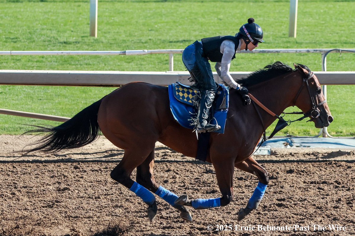 Barnes galloping this morning.