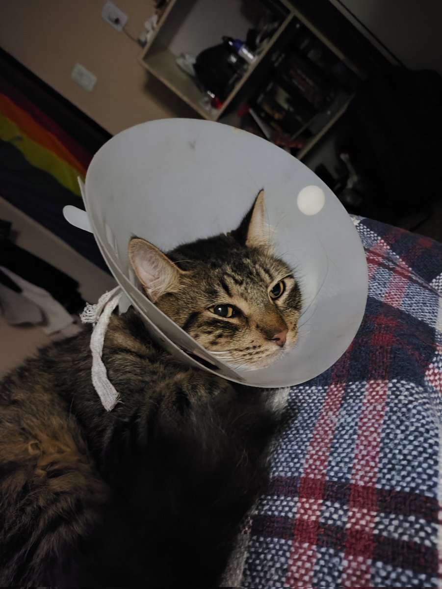 Seguimos aquí mí niño... Vamos a darlo todo hasta el final pase lo que pase.