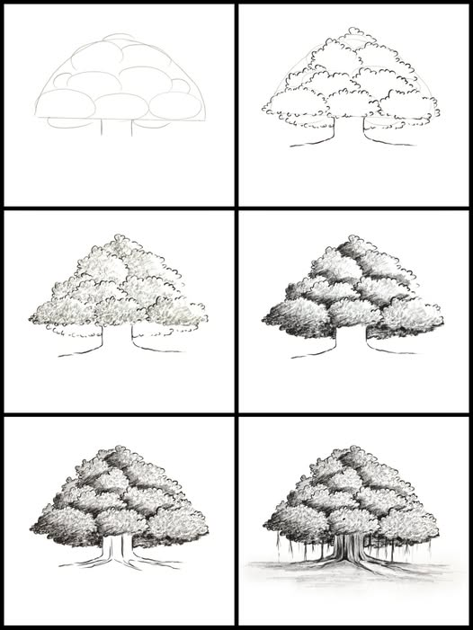 DIYLifeHackslab's tweet image. Banyan tree drawing in easy steps
#draw 
#drawing 
#drawingtutorial