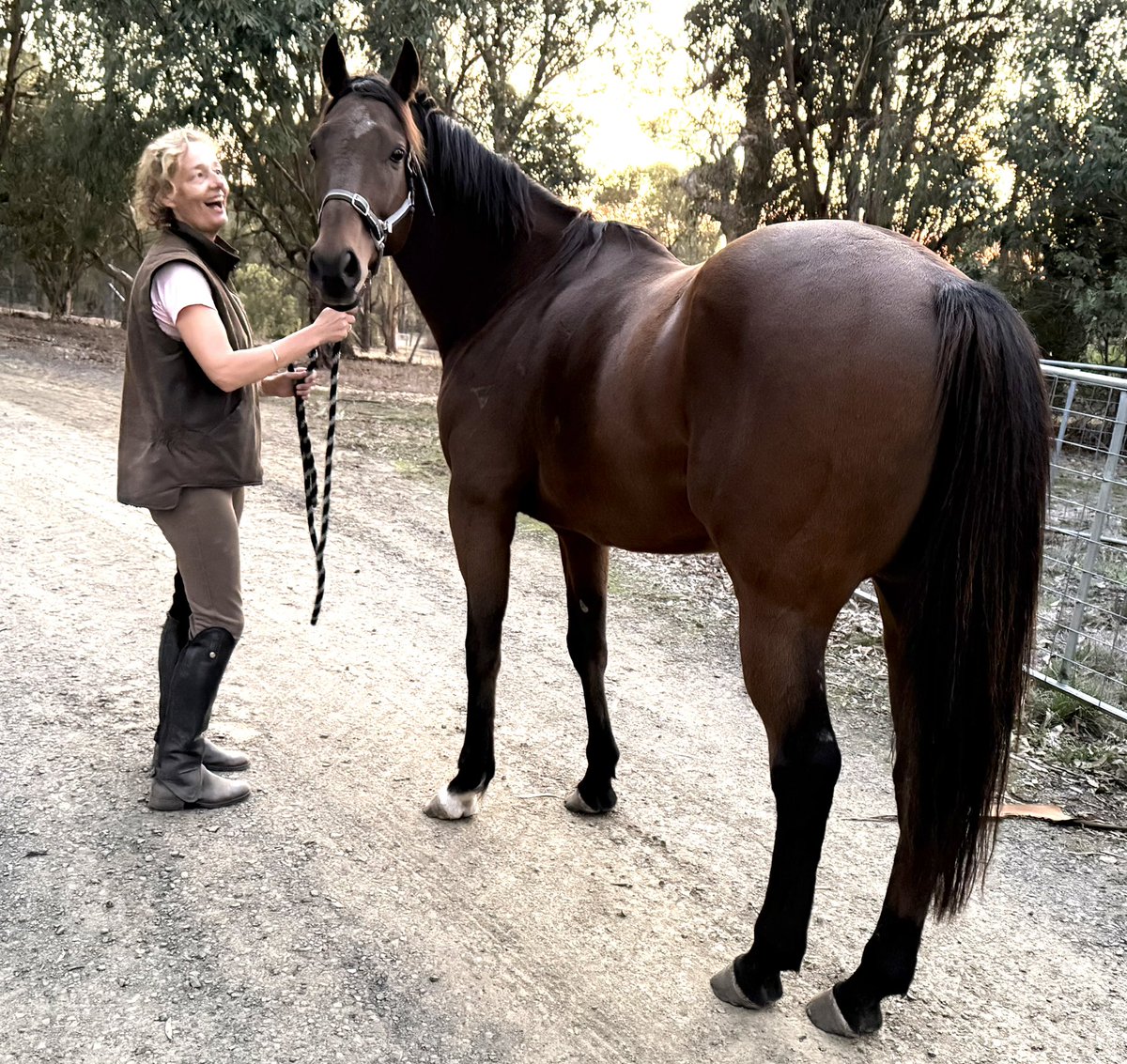 Junipal is a ripper. Won 9 races,  $950K in prizemoney, started fave in a G1, G3 winner, ran in Perth, Brisbane, Sydney, Melb and Adelaide. Won races from 3yo season to his 9yo season. Gave his owners so much excitement. 
 Now loving life on the farm in retirement.
#offthetrack